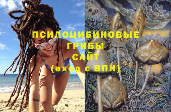 кокс Алексин