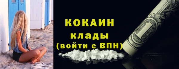 кокс Алексин